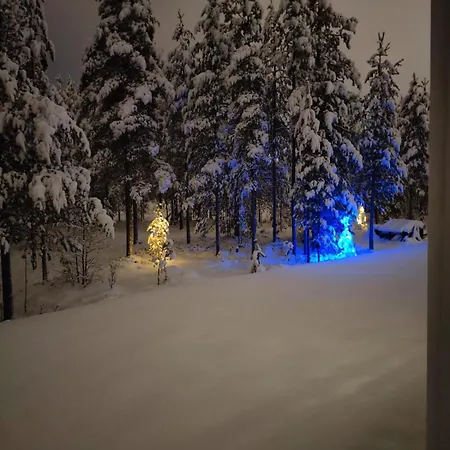 House Venni Rovaniemi